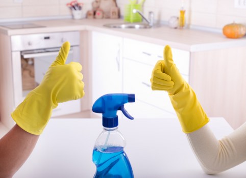 Local pet stain and odour removal service for Kennington homes