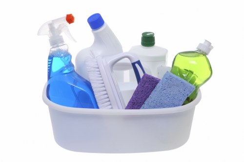 Carpet cleaning service terms and conditions introduction