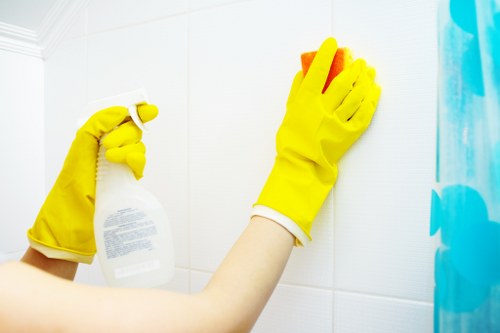 Freshening carpets and rugs after pet stains in Kennington