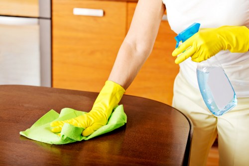 Local domestic cleaner handling a period property in Kennington
