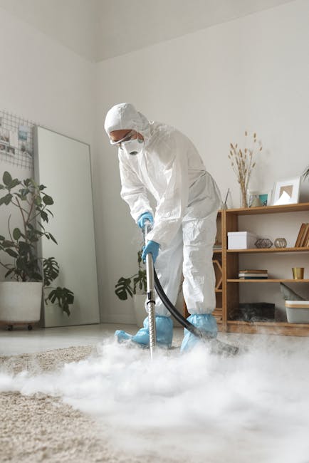 A cleaning professional dressed in full protective white coveralls, including a hood, face mask, gloves, and goggles, is performing a deep cleaning process on a residential carpet. They are using a portable steam cleaning machine connected to a hose, which emits steam and vapor onto a beige carpeted floor inside a modern, well-lit living room. The room features a tall mirror leaning against the wall, decorative plants, and a wooden shelving unit with books and ornamental objects. The scene emphasizes thorough surface cleaning and sanitisation, with visible steam indicating active extraction and deep cleaning of the carpet, consistent with professional home cleaning services provided by Carpet Cleaning Kennington near Kennington Station.